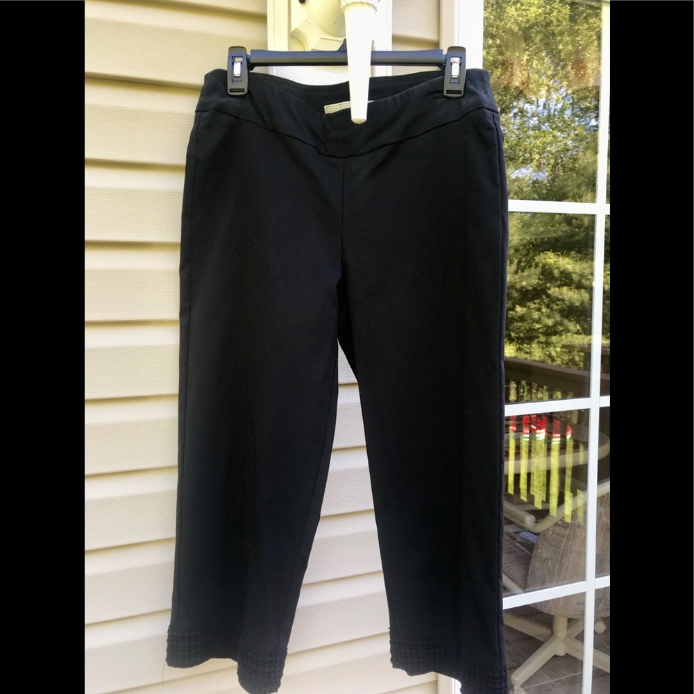 Dana Buchman Capri Pants (NWOT!)